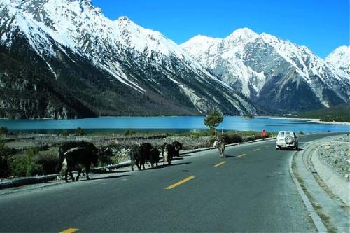 成都旅游租車