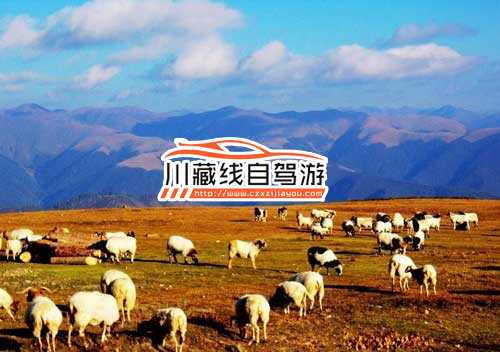 川藏線旅游