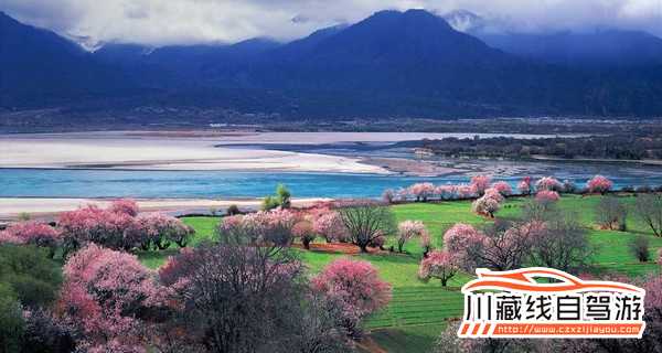 川藏線旅游感受林芝四季風采