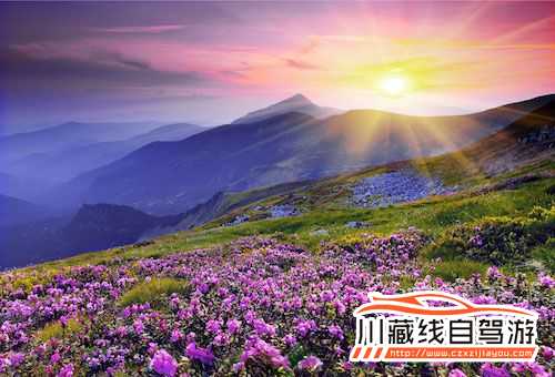 川藏線旅游