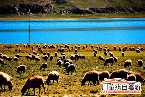 川藏線旅游