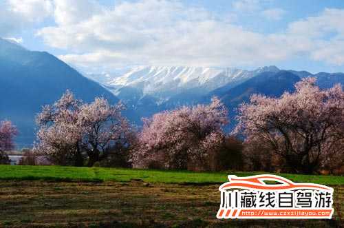 川藏線旅游