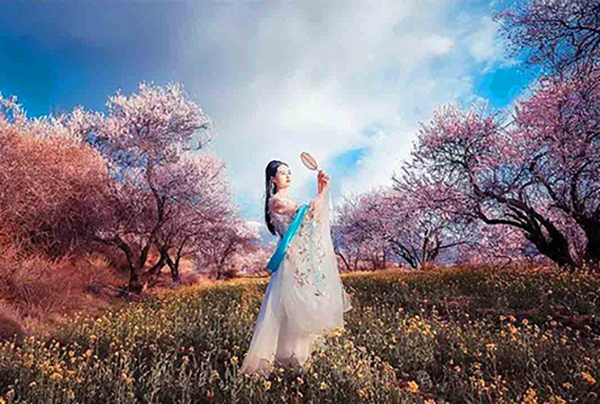 林芝桃花人像3.jpg