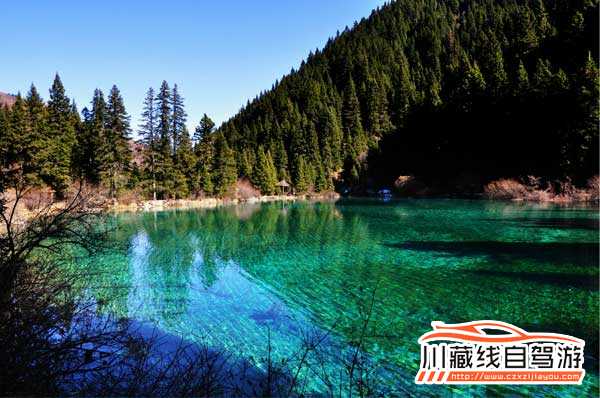成都包車旅游