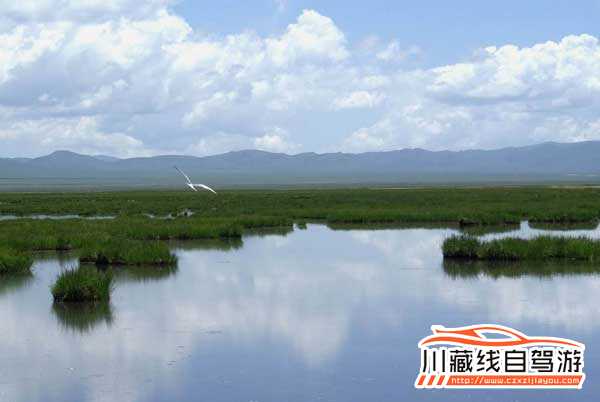 成都包車旅游