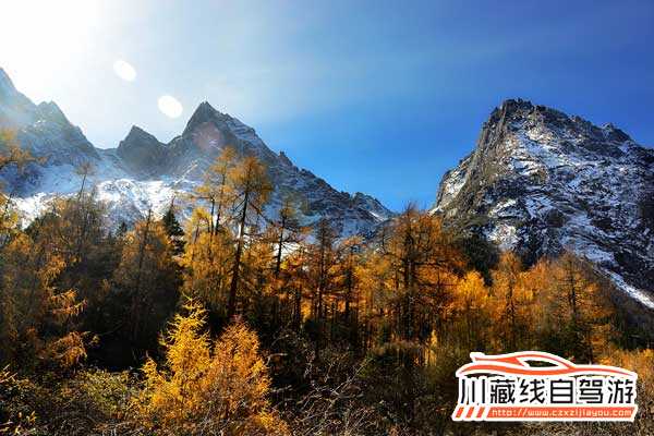 成都包車旅游