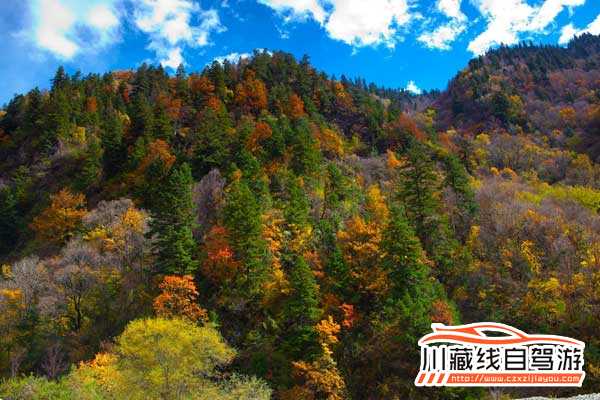 成都包車旅游